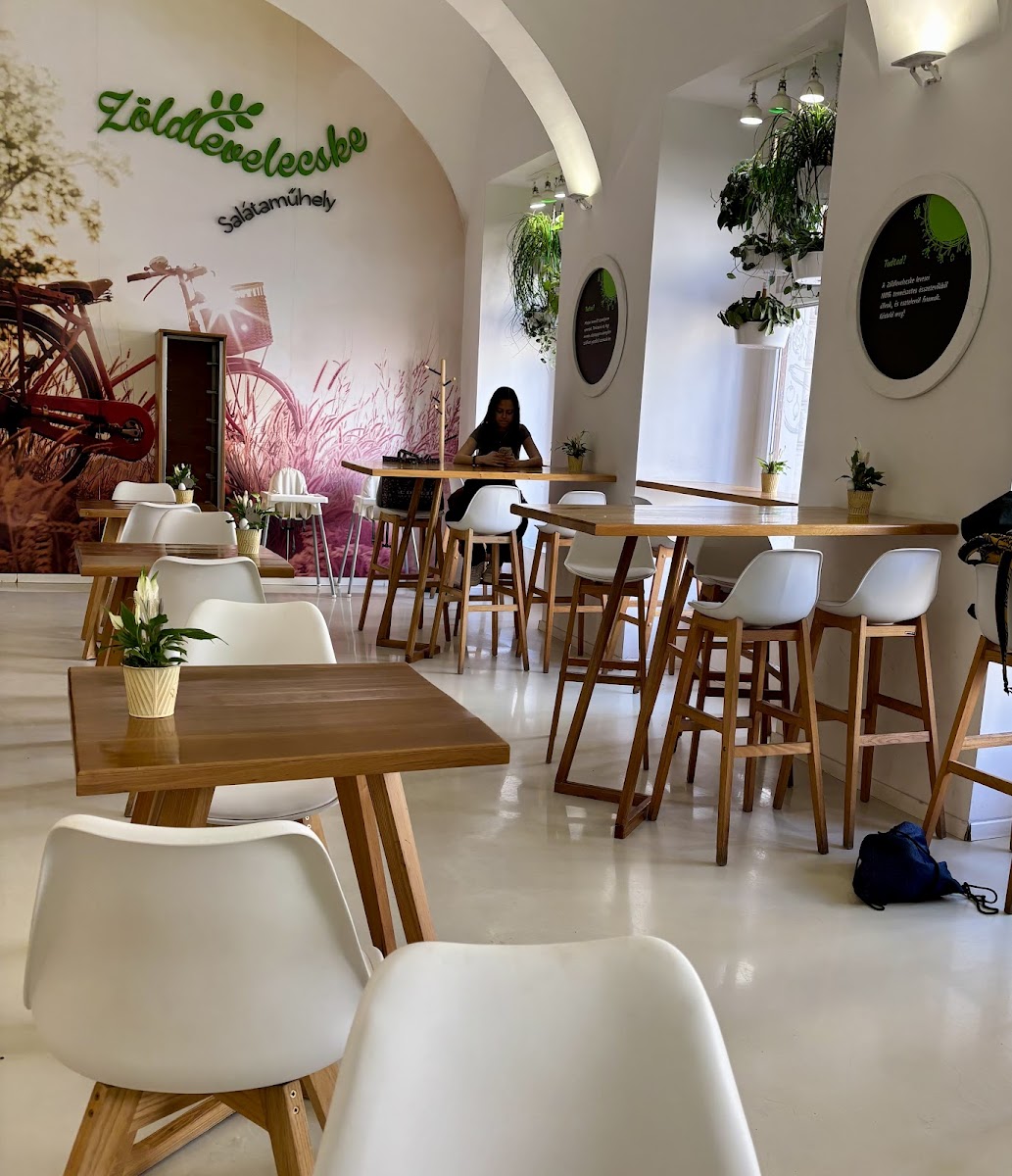 Zöldlevelecske Salátaműhely-4