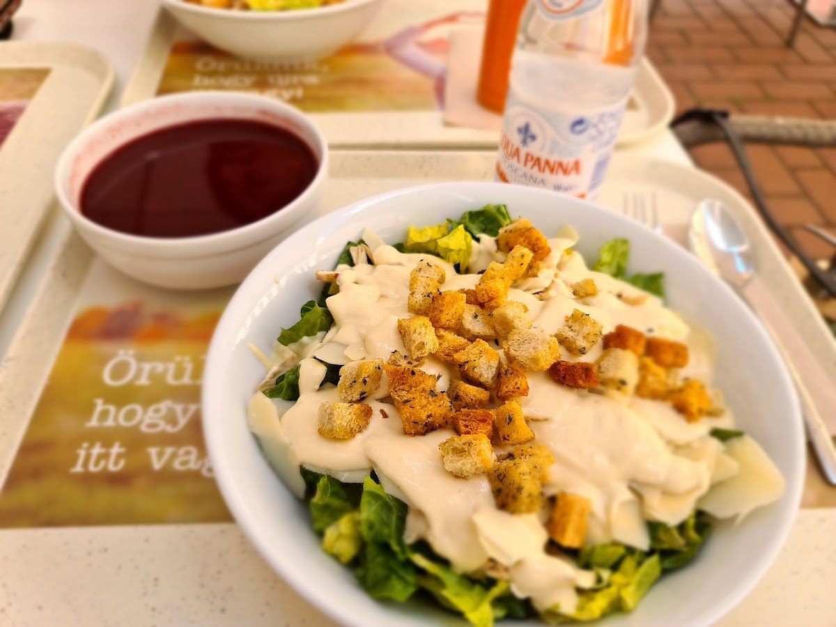 Zöldlevelecske Salátaműhely-5