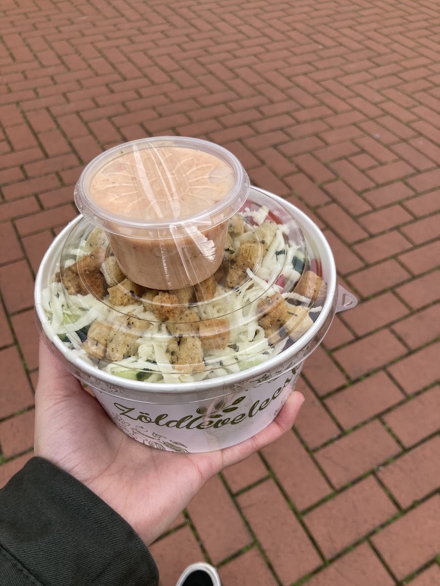 Zöldlevelecske Salátaműhely-8