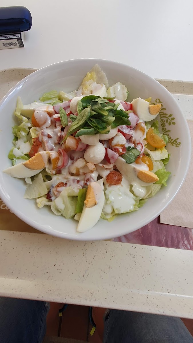 Zöldlevelecske Salátaműhely-9